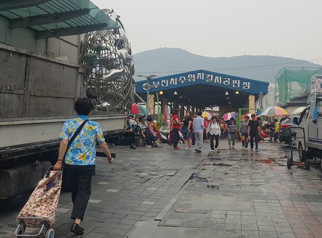 Khám Phá Chợ Hải Sản Jagalchi Lớn Nhất Busan Hàn Quốc
