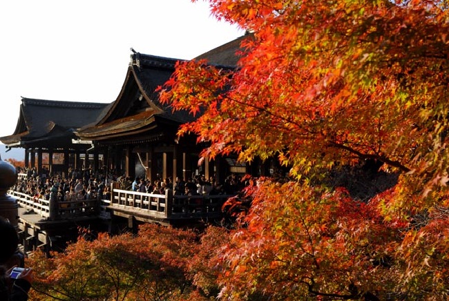 Chùa Kiyomizu – Điểm Đến Hấp Dẫn Ở Kyoto Nhật Bản