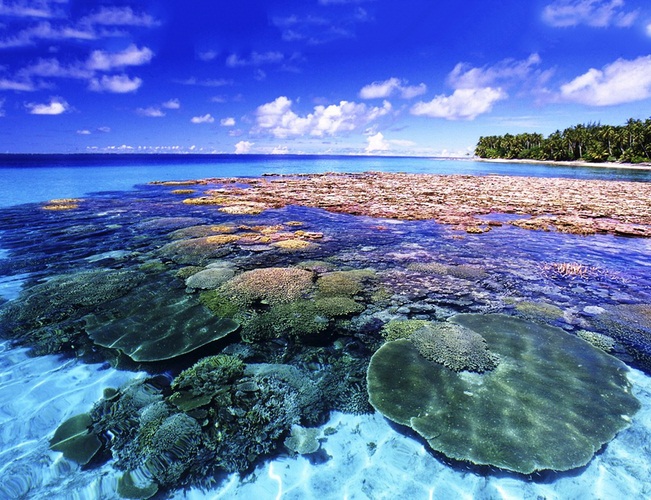 du lịch thái lan 2018, du lịch pattaya thái lan, đảo san hô pattaya, khám phá koh larn thái lan – đảo san hô đặc sắc