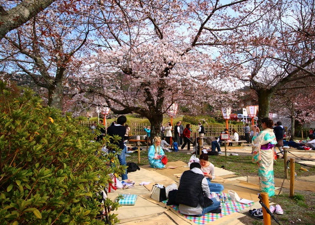 du lịch kyoto nhật bản, du lịch nhật bản, công viên maruyama, công viên maruyama – điểm đến tuyệt vời ở kyoto nhật bản