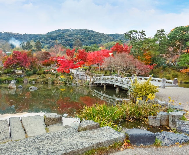 du lịch kyoto nhật bản, du lịch nhật bản, công viên maruyama, công viên maruyama – điểm đến tuyệt vời ở kyoto nhật bản