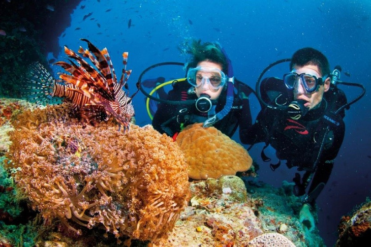 khám phá, trải nghiệm, khám phá 3 loại hình ngắm san hô ở phú quốc