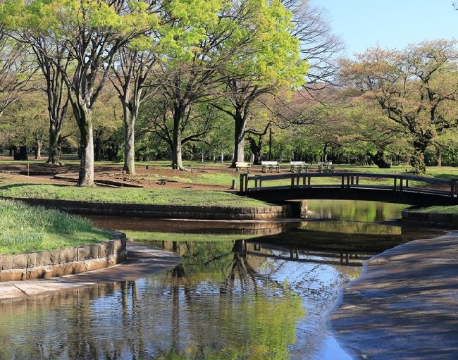 du lịch nhật bản 2018, du lịch tokyo nhật bản, khám phá công viên yoyogi – điểm đến hấp dẫn ở nhật bản