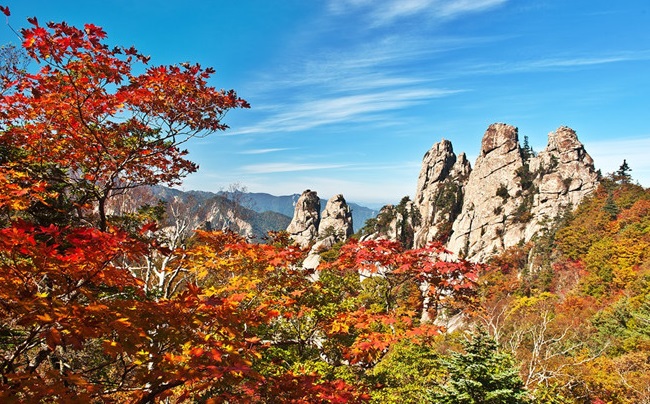Top 5 Địa Điểm Tận Hưởng Vẻ Đẹp Của Mùa Thu Hàn Quốc