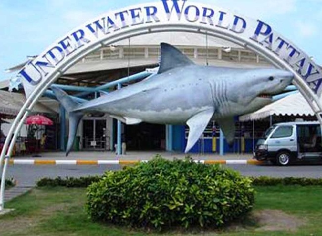 Khám Phá Ốc Đảo Xanh Underwater World Ở Pattaya
