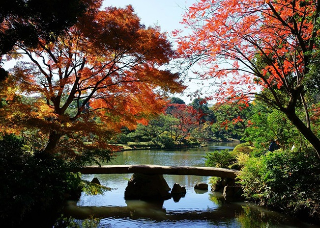 du lịch nhật bản, du lịch tokyo nhật bản, vườn rikugien nhật bản, vườn rikugien - niềm tự hào của thủ đô tokyo