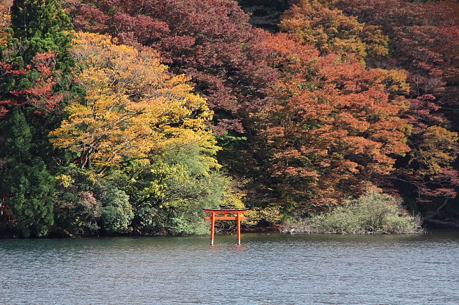 Đến Thị Trấn Hakone Ngắm Trọn Mùa Thu Nhật Bản