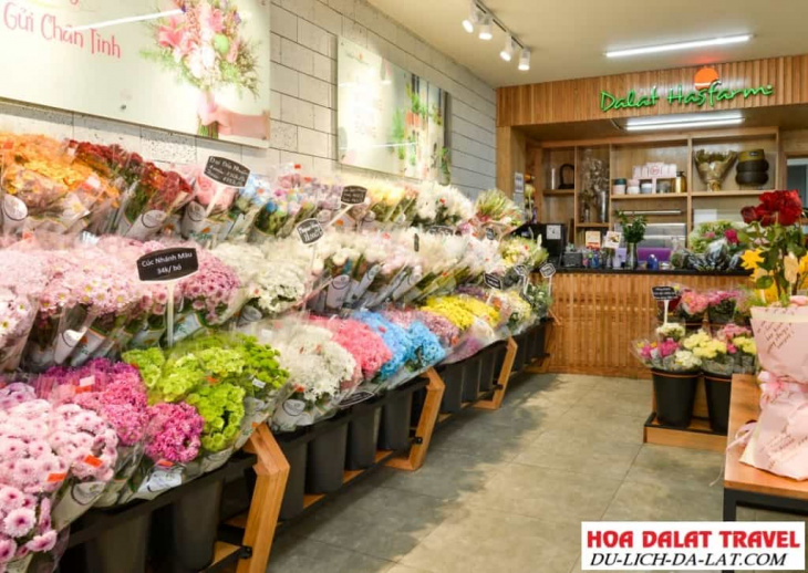 kinh nghiệm, top #7 shop hoa tươi đà lạt đẹp, uy tín được ưa thích nhất