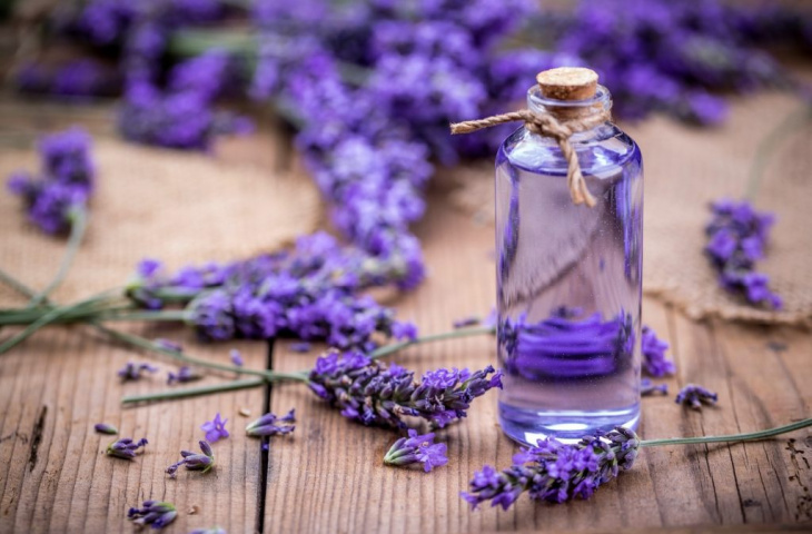 khám phá, trải nghiệm, ngất ngây trước vẻ đẹp của cánh đồng hoa lavender ở provence