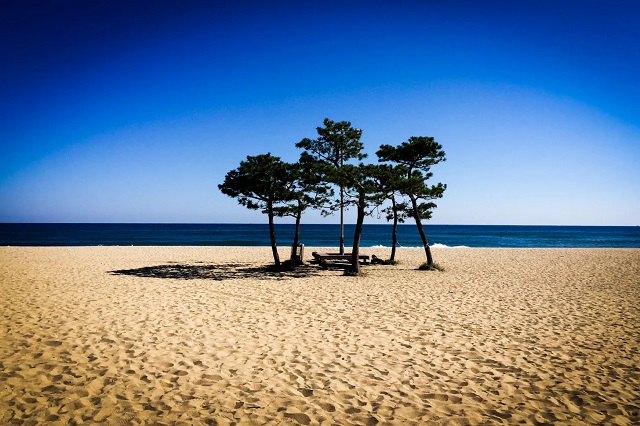 top 10 bãi biển đẹp nhất hàn quốc để bạn nạp thêm vitamin sea vào mùa hè, khám phá, trải nghiệm, top 10 bãi biển đẹp nhất hàn quốc để bạn nạp thêm vitamin sea vào mùa hè