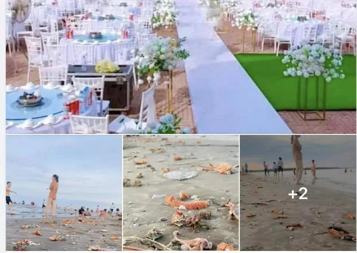 Bãi biển resort ngập rác tôm hùm, vỏ ghẹ sau một đám cưới