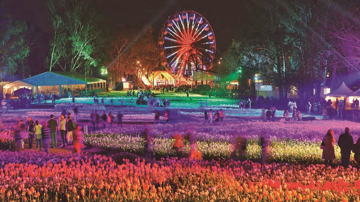 Floriade Festival 2022 - Thắp sáng mùa xuân nước Úc, Khám Phá