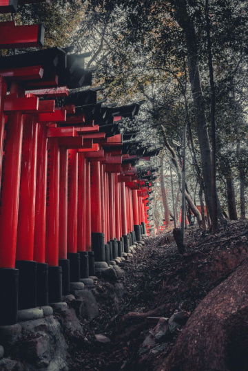 Cố đô Kyoto lạ lẫm nhưng cực khó quên qua bộ ảnh đậm chất cổ kính