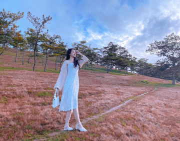 Đồi cỏ Hồng Đà Lạt – Khung trời mơ mộng cùng sương sớm nắng vàng