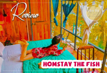 Review homestay The Fish – Homestay xinh xinh hợp với các bạn trẻ nè