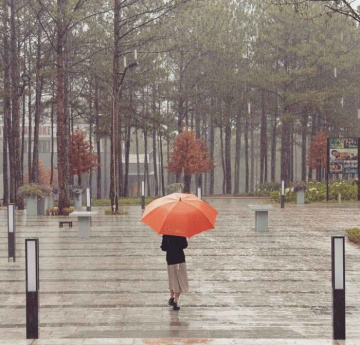 Những lý do nên du lịch Đà Lạt mùa mưa tưởng không vui mà vui không tưởng 