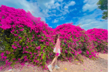 Du lịch Phú Yên – Mảnh đất “hoa vàng cỏ xanh” bình dị, thơ mộng