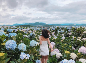 Du lịch Lâm Đồng: Ghé thăm mảnh đất cao nguyên ngàn hoa