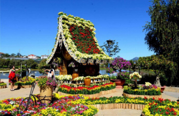 Top 10 vườn hoa, cánh đồng hoa đẹp ở Đà Lạt, check in triệu view