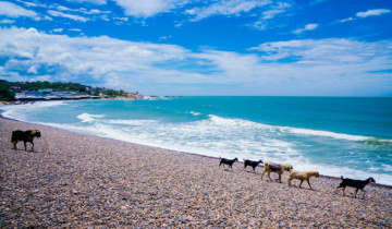 Review bãi biển Cổ Thạch, Bình Thuận có đẹp “như lời đồn”?