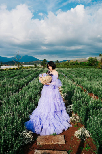 Review 4 cánh đồng hoa Lavender đẹp nhất ở Đà Lạt
