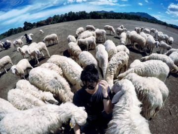 Review Đồng cừu Suối Nghệ: Cảnh đep châu Âu ngay giữa TP. Vũng Tàu