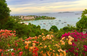 Du lịch quần đảo Virgin - Khám phá thiên đường vùng biển Caribbe