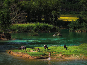 Du lịch Cao Bằng - Khám phá thiên nhiên hùng vĩ