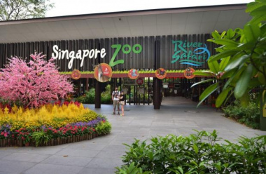 50 điểm đến mang tính biểu tượng của du lịch Singapore