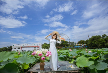 [Check-in] Sen Hồ Tây – vẻ đẹp truyền thống giữa lòng Hà Nội