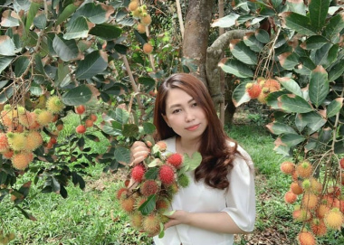 Ghé vườn trái cây Hoàng Tuấn, thưởng thức trái ngon quả ngọt nức tiếng Bến Tre