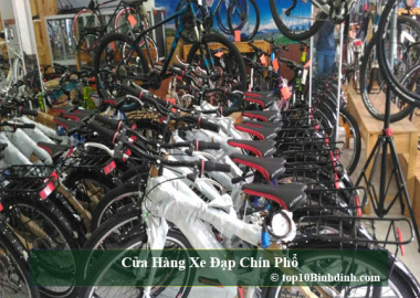 Top 10 Cửa hàng xe đạp chất lượng tại Quy Nhơn Bình Định