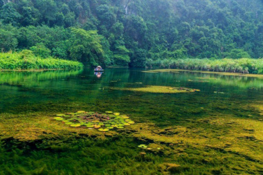 Mùa thu thanh bình trên dòng Ngô Đồng