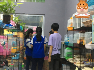 Top 10 Shop Bán Chuột Hamster Ở TPHCM Đẹp Được Yêu Thích Nhất