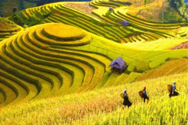 Ultimate Guide To Best Homestay In Sapa