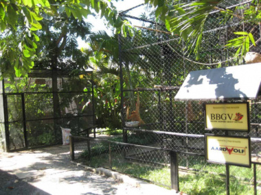 Cu Chi Wildlife Rescue Station: The Silent Heroes of Vietnamese Endangered Species