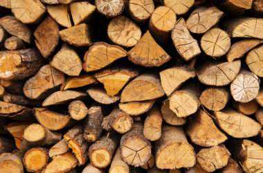 Phân biệt gỗ Tần bì, gỗ Sồi và gỗ Cao su