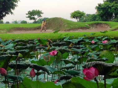 Sân golf Đảo Sen, điểm đến yêu thích của golfer Hà Thành