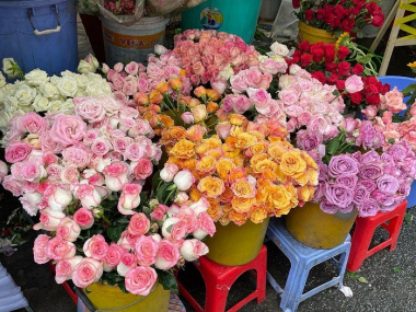 Lạc lối giữa thiên đường khi khám phá những chợ hoa sỉ nổi tiếng khắp 3 miền