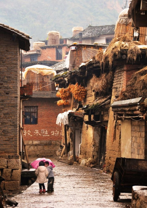 làng cổ chengzi, khám phá, trải nghiệm, làng cổ chengzi - ngôi làng kỳ lạ với hàng trăm ngôi nhà thông liền nhau