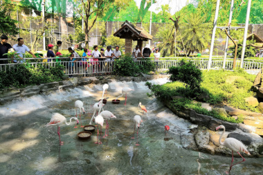 Top 12 địa điểm vui chơi quận 1 cực chất ở thành phố Hồ Chí Minh