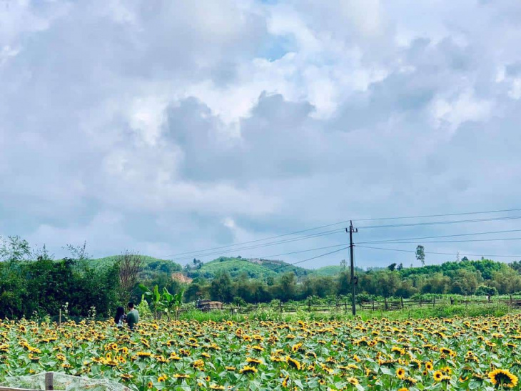 farmstay, bật mí 5 gợi ý chọn khu đất đầu tư farmstay thành công