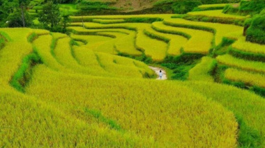 Ha Giang Luoc village – coordinates to see the most beautiful terraced fields Hoang Su Phi