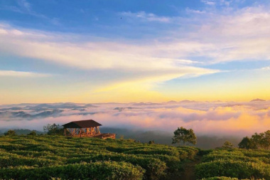 Top 15 địa điểm săn mây Đà Lạt đẹp nhất hiện nay