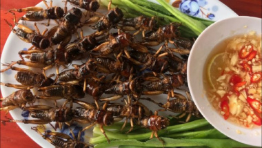 Top 10 món ăn từ côn trùng ngon nhất trên toàn thế giới