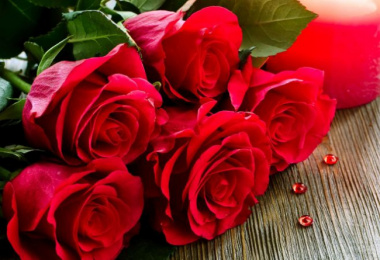 Top 10 loài hoa ý nghĩa dành tặng cho một nửa yêu thương