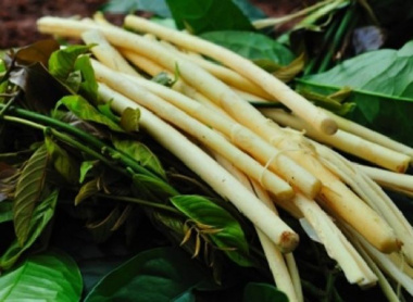 Top 10 món ăn đặc sản nổi tiếng tại Bình Phước
