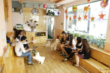 Top 8 quán cafe chó tại Sài Gòn siêu dễ thương