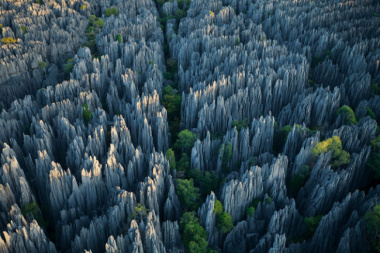 Top 10 khu rừng đẹp nhất thế giới