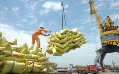 Top 10 nhà cung ứng gạo tốt nhất Việt Nam
